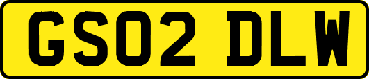 GS02DLW