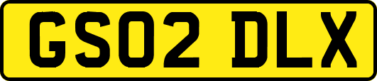 GS02DLX