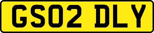 GS02DLY