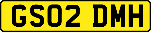 GS02DMH