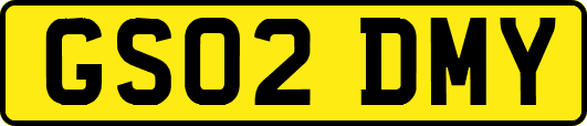 GS02DMY