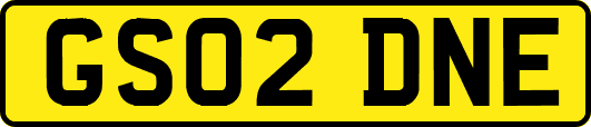 GS02DNE
