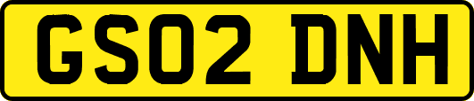GS02DNH