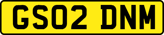 GS02DNM