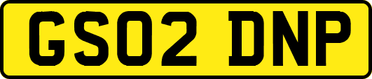 GS02DNP