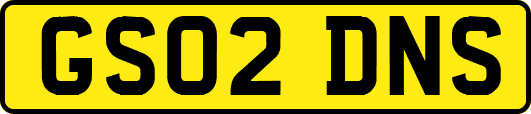 GS02DNS