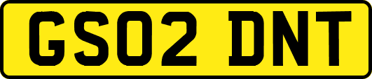 GS02DNT