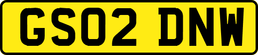 GS02DNW