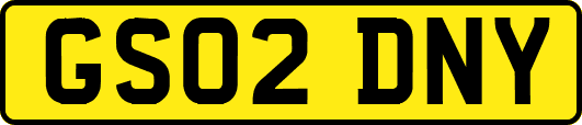 GS02DNY