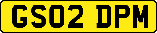 GS02DPM