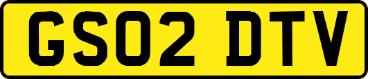 GS02DTV