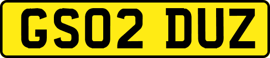 GS02DUZ