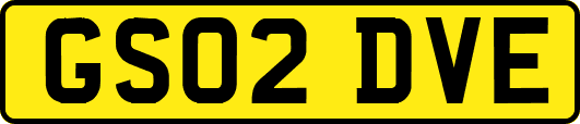 GS02DVE