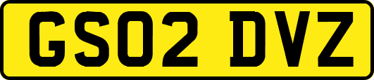GS02DVZ