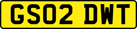 GS02DWT