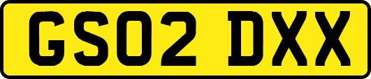 GS02DXX
