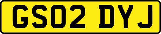 GS02DYJ