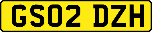 GS02DZH