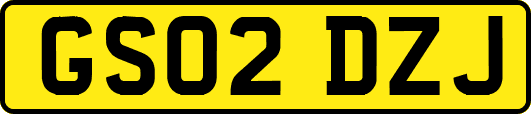 GS02DZJ
