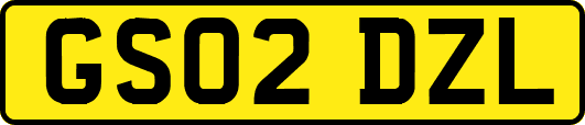 GS02DZL