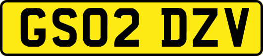 GS02DZV