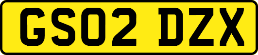 GS02DZX