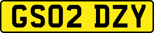GS02DZY