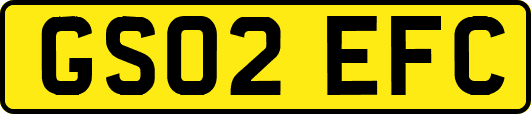 GS02EFC