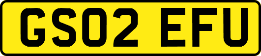 GS02EFU