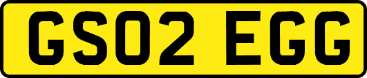GS02EGG