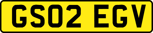 GS02EGV