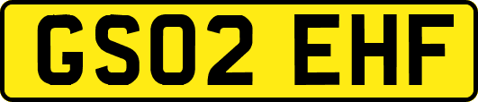 GS02EHF