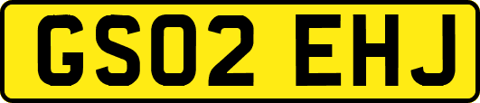 GS02EHJ