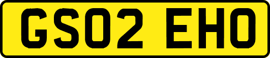 GS02EHO