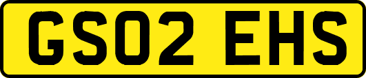GS02EHS