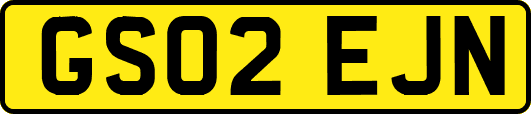 GS02EJN