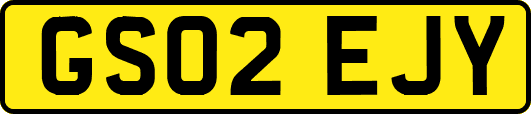 GS02EJY