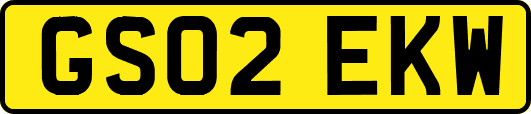 GS02EKW