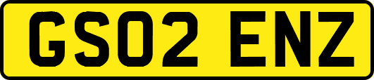 GS02ENZ