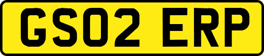 GS02ERP
