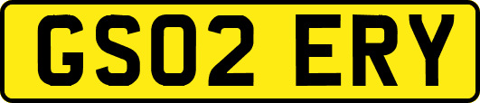 GS02ERY