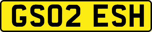 GS02ESH