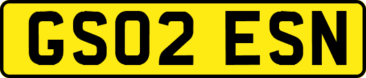 GS02ESN