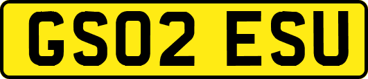 GS02ESU