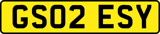 GS02ESY
