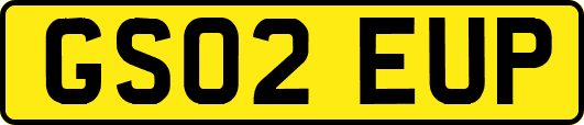 GS02EUP