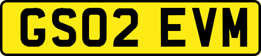 GS02EVM