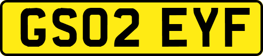 GS02EYF