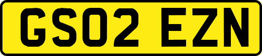 GS02EZN