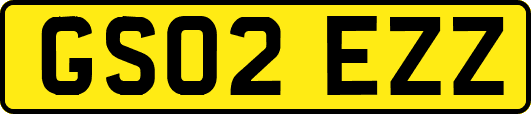 GS02EZZ